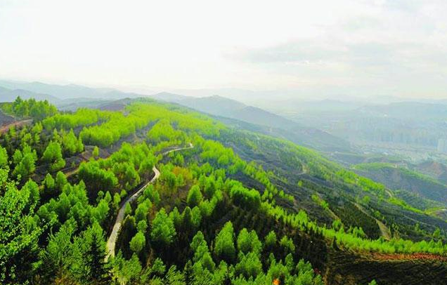 【世界防治荒漠化和干旱日】依斯倍环保一直在行动